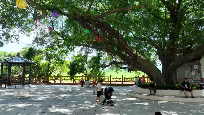 公园里，市民在树下漫步